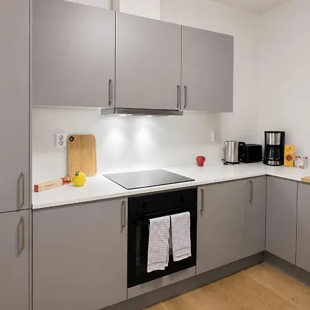 公寓 The Nordic - 2br In - The Collection Voss